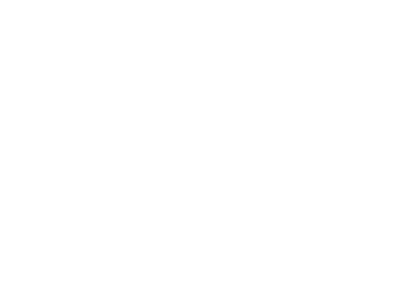 MTV en VIVO online